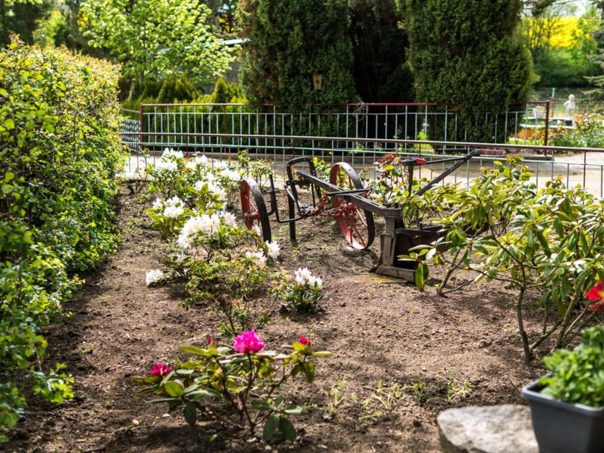 Gartenbungalow 2 Rechte Seite Klein Pravtshagen الغرفة الصورة